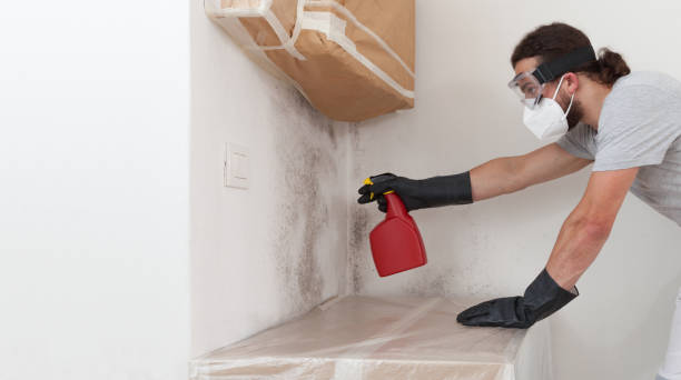 Professional Commercial Mold Remediation technician working in Wellington, CO